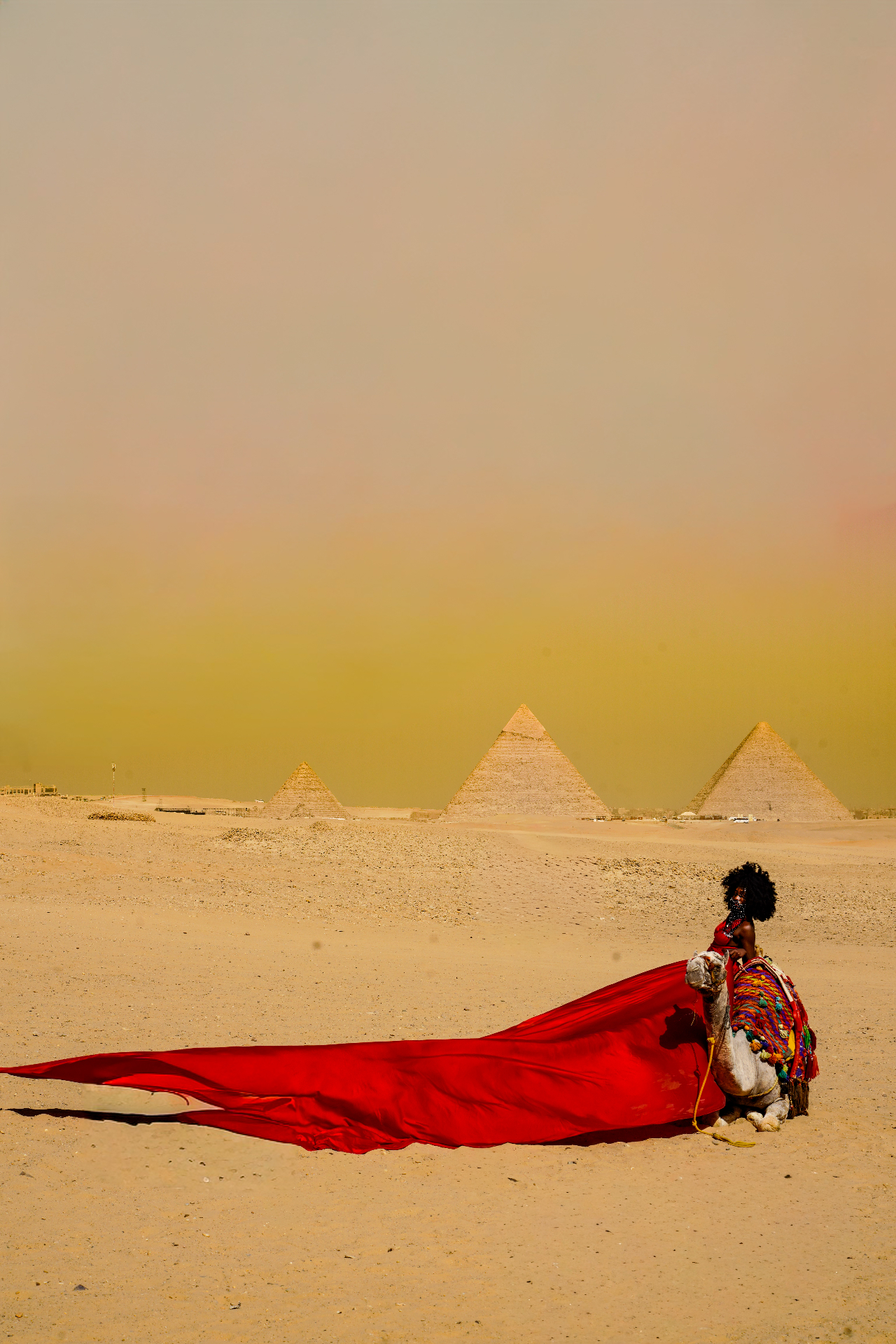 Red dress trailing across the desert sand beside a decorated camel at Giza